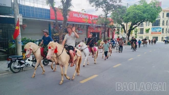 Festival Cao nguyên trắng Bắc Hà sẵn sàng khai hội