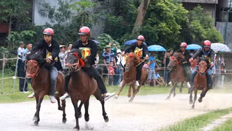 Ngựa đã hí trên đường đua “Cao nguyên trắng”