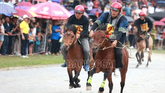 32 nài ngựa cùng tranh ngôi vô địch vào ngày mai (8/6)