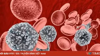 Thêm hy vọng về khả năng chữa khỏi bệnh HIV/AIDS
