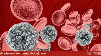 Thêm hy vọng về khả năng chữa khỏi bệnh HIV/AIDS