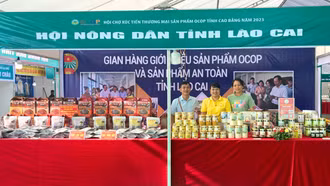 Lào Cai giới thiệu sản phẩm tại Hội chợ xúc tiến thương mại sản phẩm OCOP Cao Bằng