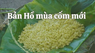 Bản Hồ mùa cốm mới