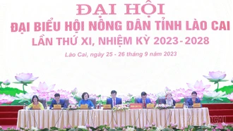 Những kinh nghiệm quý, cách làm hay trong thực hiện phong trào, hoạt động của hội nông dân