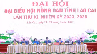 Những kinh nghiệm quý, cách làm hay trong thực hiện phong trào, hoạt động của hội nông dân