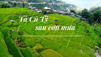 Tả Củ Tỷ sau cơn mưa