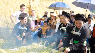 Đồng bào Tày Việt Tiến (Bảo Yên) tổ chức lễ hội cốm cầu mùa màng bội thu