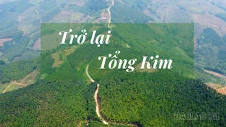 Trở lại Tổng Kim