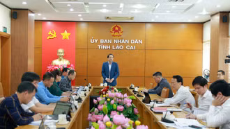 Triển khai đồng bộ, quyết liệt các nghị quyết chuyên đề của Tỉnh ủy