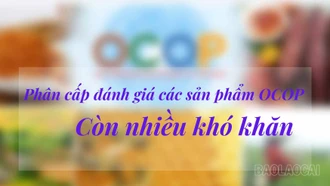 Phân cấp đánh giá các sản phẩm OCOP: Còn nhiều khó khăn