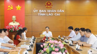 Ngoại giao kinh tế cần tập trung thúc đẩy các động lực tăng trưởng mới