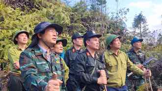 Cơ bản khống chế được các điểm cháy không để lan vào khu vực rừng già