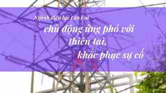 Ngành điện lực Lào Cai chủ động ứng phó với thiên tai, khắc phục sự cố