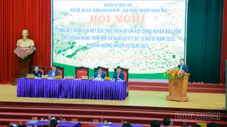 Năm 2023, Nhân dân Bảo Yên đóng góp hơn 11 tỷ đồng xây dựng nông thôn mới