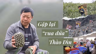 Gặp lại “vua dứa” Thào Dìn