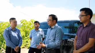 Chuẩn bị mặt bằng Dự án Nhà máy sản xuất dây cáp điện công nghệ cao