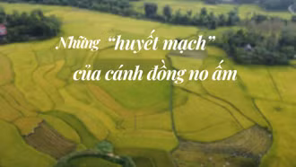 Những “huyết mạch” của cánh đồng no ấm