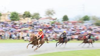 Trực tiếp: Festival Cao nguyên trắng Bắc Hà năm 2024 - Vòng loại Giải đua ngựa lần thứ 17