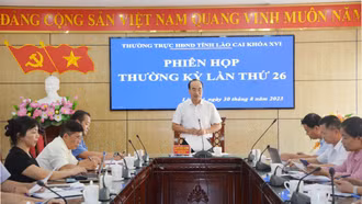 Chuẩn bị tốt nội dung, chương trình kỳ họp thứ 14 Hội đồng nhân dân tỉnh