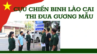 Cựu chiến binh Lào Cai thi đua gương mẫu