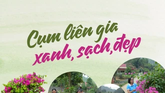 Cụm liên gia xanh, sạch, đẹp