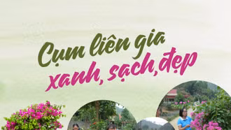 Cụm liên gia xanh, sạch, đẹp
