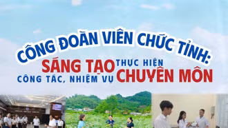 Công đoàn viên chức tỉnh: Sáng tạo thực hiện công tác, nhiệm vụ chuyên môn