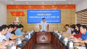 Tích cực triển khai công tác giám sát theo chương trình, kế hoạch đặt ra