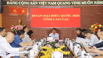 Đại biểu Nguyễn Thị Lan Anh nêu câu hỏi chất vấn liên quan đến lĩnh vực tài chính
