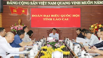 Đại biểu Nguyễn Thị Lan Anh nêu câu hỏi chất vấn liên quan đến lĩnh vực tài chính