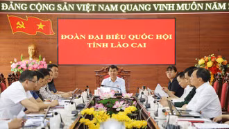 Đoàn đại biểu Quốc hội tỉnh Lào Cai tiếp tục tham gia phiên chất vấn và trả lời chất vấn