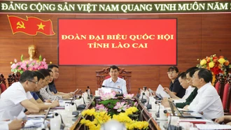 Đoàn đại biểu Quốc hội tỉnh Lào Cai tiếp tục tham gia phiên chất vấn và trả lời chất vấn