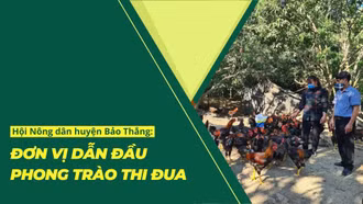 Hội Nông dân huyện Bảo Thắng: Đơn vị dẫn đầu phong trào thi đua
