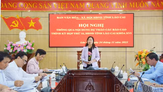 Ban Văn hóa - Xã hội HĐND tỉnh thông qua nội dung dự thảo các báo cáo