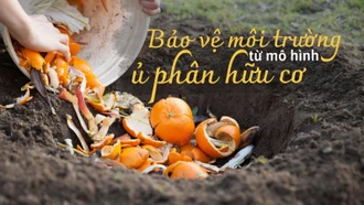 Bảo vệ môi trường từ mô hình ủ phân hữu cơ