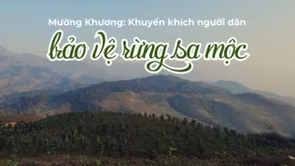 Mường Khương: Khuyến khích người dân bảo vệ rừng sa mộc