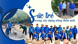 Sức trẻ trong xây dựng nông thôn mới