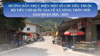 [Infographic] Hướng dẫn thực hiện một số chỉ tiêu thuộc Bộ tiêu chí quốc gia về xã nông thôn mới giai đoạn 2021 - 2025