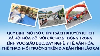 [Infographic] Chính sách khuyến khích xã hội hóa đối với các hoạt động trong lĩnh vực giáo dục, dạy nghề, y tế, văn hóa, thể thao, môi trường