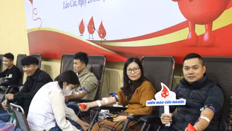 Hơn 700 người tham gia ngày hội hiến máu tình nguyện tháng 12/2023
