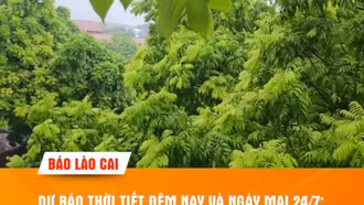 Dự báo thời tiết đêm nay và ngày mai (24/7): Mưa tập trung vào đêm và sáng