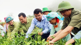 Lào Cai thuộc tốp các địa phương có tỷ lệ giảm nghèo cao nhất cả nước