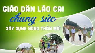 Giáo dân Lào Cai chung sức xây dựng nông thôn mới