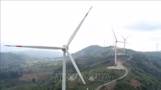 EVN đề xuất nhập khẩu điện gió từ Lào