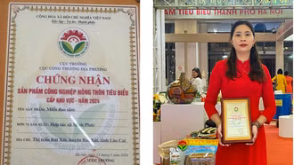 Miến đao sâm Bát Xát đạt danh hiệu sản phẩm công nghiệp nông thôn tiêu biểu cấp khu vực - năm 2024