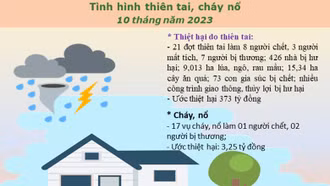 Tính đến hết tháng 10, toàn tỉnh thiệt hại gần 380 tỷ đồng do thiên tai và cháy, nổ
