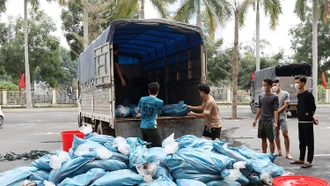 Công an tỉnh Lào Cai bắt giữ 2 xe ô tô chở hơn 3,8 tấn cá tầm không rõ nguồn gốc