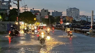 Thời tiết ngày 11/6: Tây Nguyên và Nam Bộ có mưa rào và dông