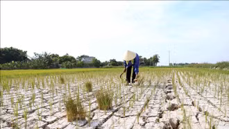Chung tay quản lý đất bền vững