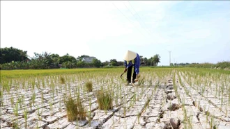 Chung tay quản lý đất bền vững